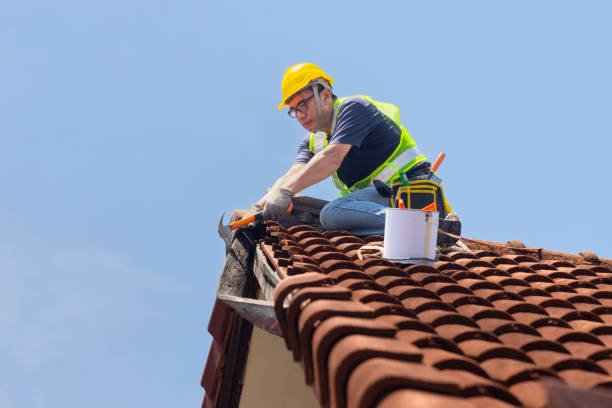 Best Roof Waterproofing  in USA